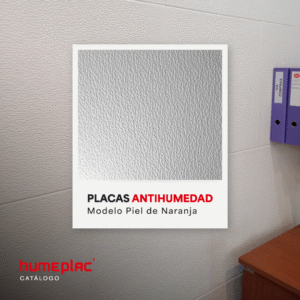 placa antihumedad pieldenaranja